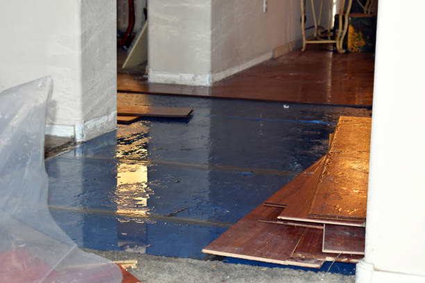 Professional Water Damage Restoration technician working in Hope, MN